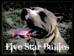 Five Star Bullies