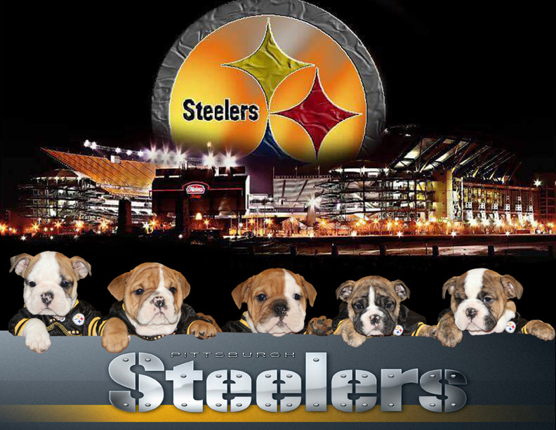 French bulldog pet planner pet care records pet information Steel City Bulldogs | Bulldog Breeder | Pittsburgh, Pennsylvania