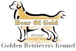 Bear Of Gold Kennel