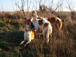 Iz Kitez Grada Borzoi