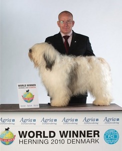 Bratsiostra Polish Lowland Sheepdog