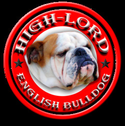 English Bulldog Kennel