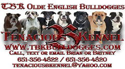 Tenacious B Kennel