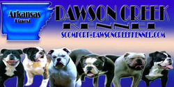 Dawson Creek Kennel