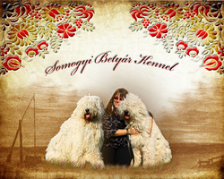 Somogyi Betyár Kennel