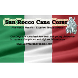 San Rocco Cane Corso