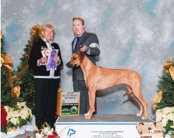 Cape Ridge Rhodesian Ridgebacks