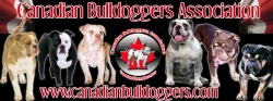 Canadian Bulldoggers Association
