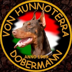 Hunnoterra Dobermann Kennel