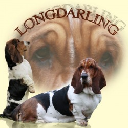 Long Darling - kennel