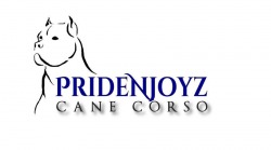 PrideNJoyz Cane Corso