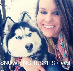 SNOW KING HUSKIES (snowkinghuskies@gmail.com)