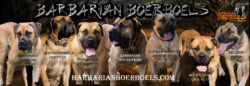 Barbarian Boerboels