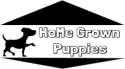 HoMe Grown Puppies