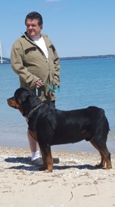 Rivertown Rottweilers