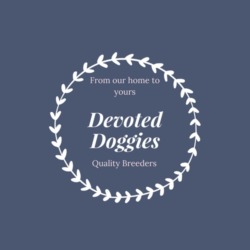 Devoted Doggies