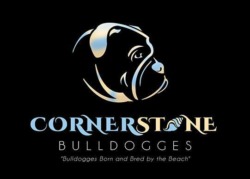 Cornerstone Bulldogges