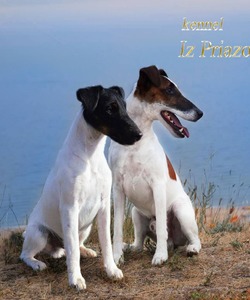 Iz Priazovskih Stepey