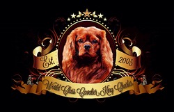 World Class Cavalier King Charles