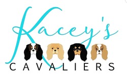 Kacey's