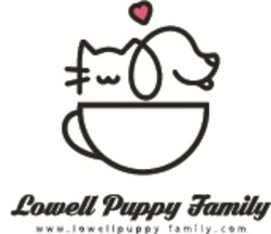 lowell puppy family