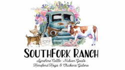 SouthFork Ranch