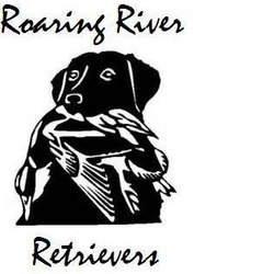 Roaring River Retrievers