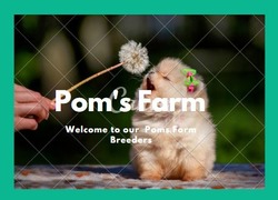 Poms Farm