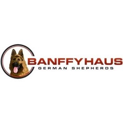 Banffyhaus German Shepherds