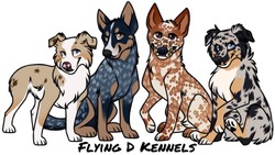 Flying D Kennels