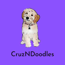 CruzNDoodles