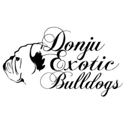 Donju Exotic Bulldogs