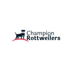 Champion Rottweilers