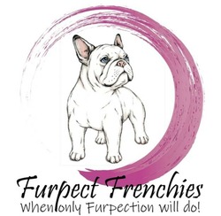 Furpect Frenchies