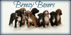Breezy Boxers