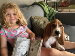 Echopaws Basset Hound