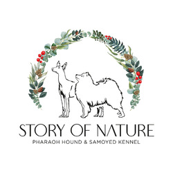 Story of Nature