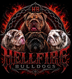 Hellfire Bulldogs