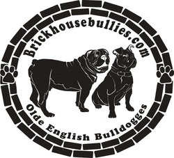 Brickhouse Bullies