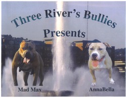 Three Rivers Bullies