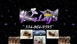 Patsy's Pups