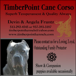 Timber Point Cane  Corso