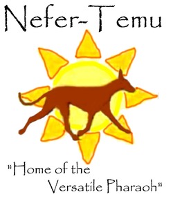 Nefer-Temu Pharaoh Hounds