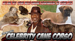 Celebrity Cane Corso