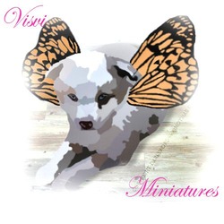 Visvi Miniatures