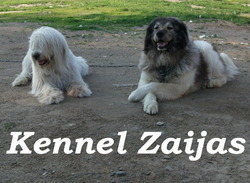 Kennel Zaijas