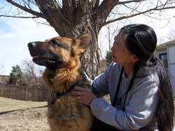 Littleton German Shepherds