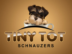 Tiny Tot Schnauzers