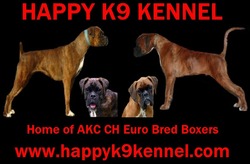 Happy K9 Kennel