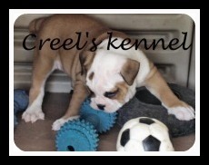 creelkennel